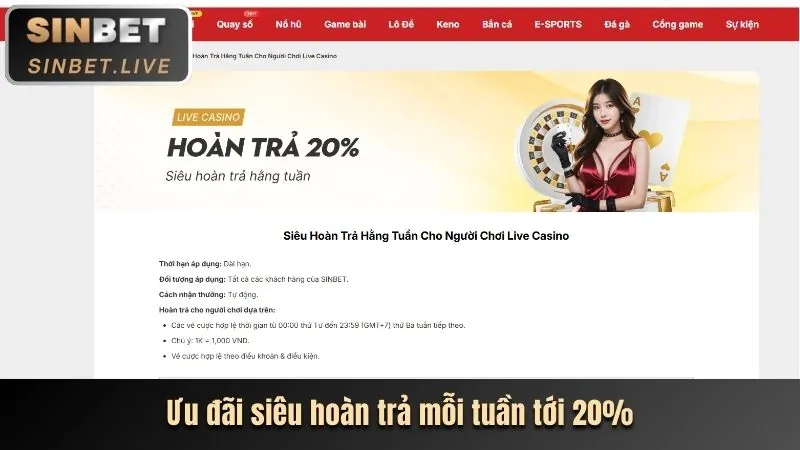 Hoàn trả hàng tuần tại sòng bạc rr996